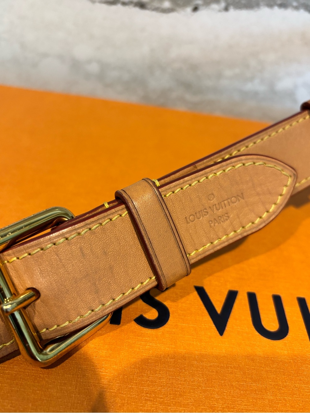 LOUIS VUITTON Monogram Odeon MM in Natural. - Picture 6 of 13
